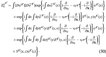 Equation (30)