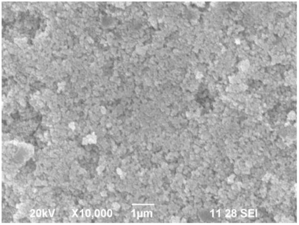 Green synthesis of silver nanoparticle and silver based chitosan ...