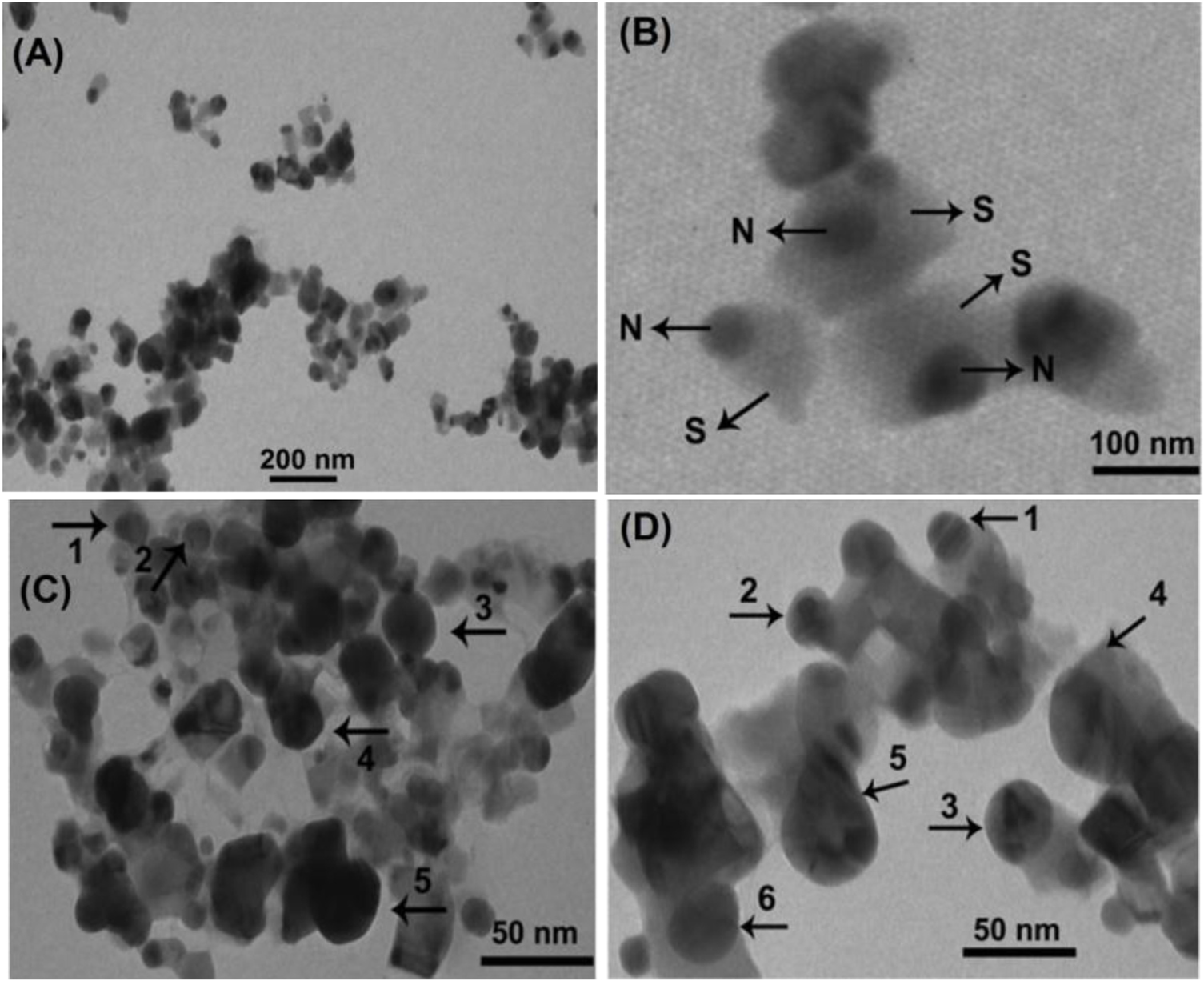 Green synthesis of silver nanoparticle and silver based chitosan ...