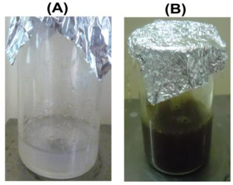 Green synthesis of silver nanoparticle and silver based chitosan ...