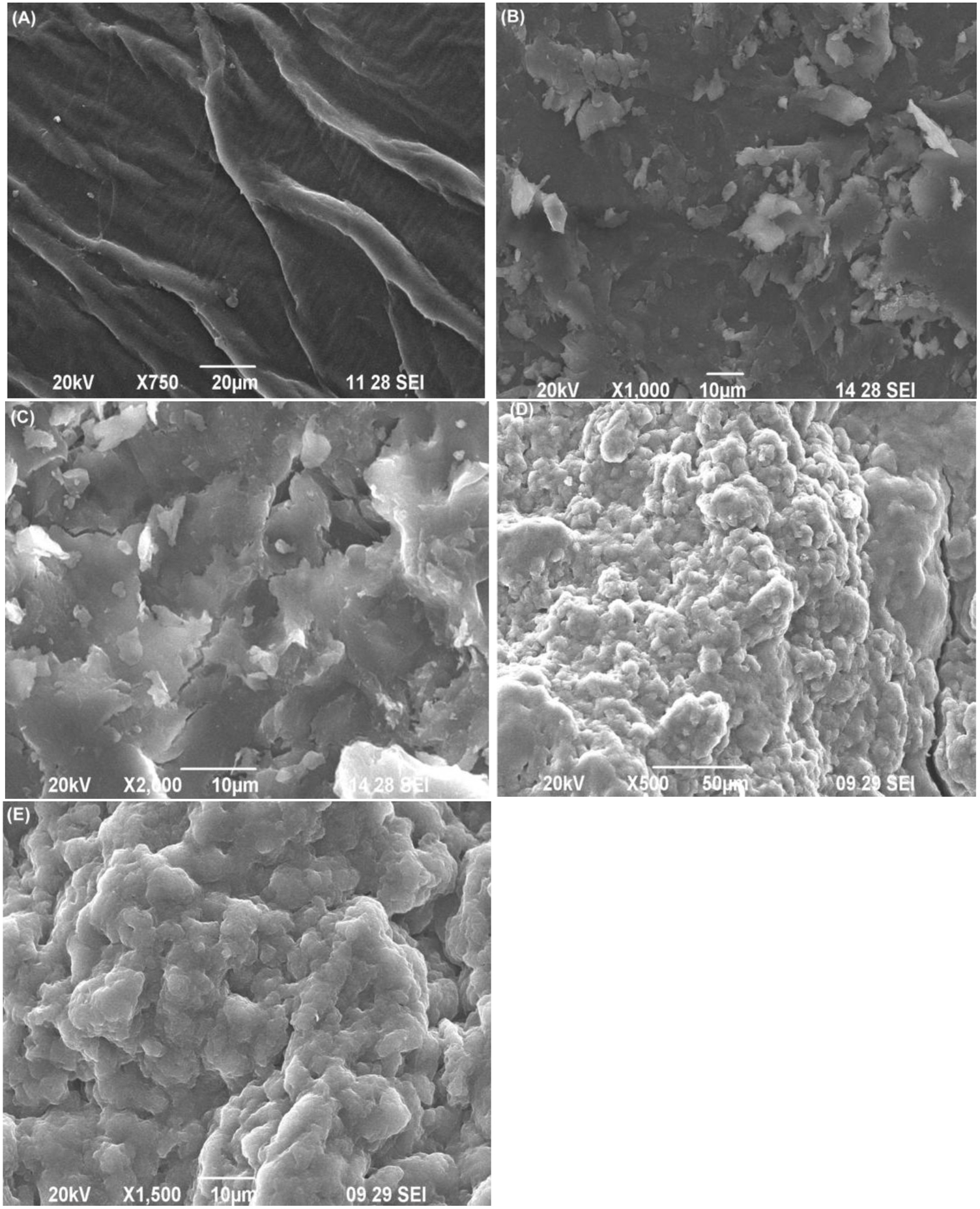 Green synthesis of silver nanoparticle and silver based chitosan ...