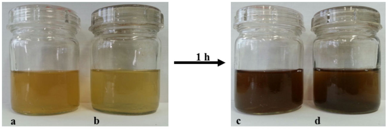 Green synthesis of silver nanoparticles from Moringa oleifera leaf ...