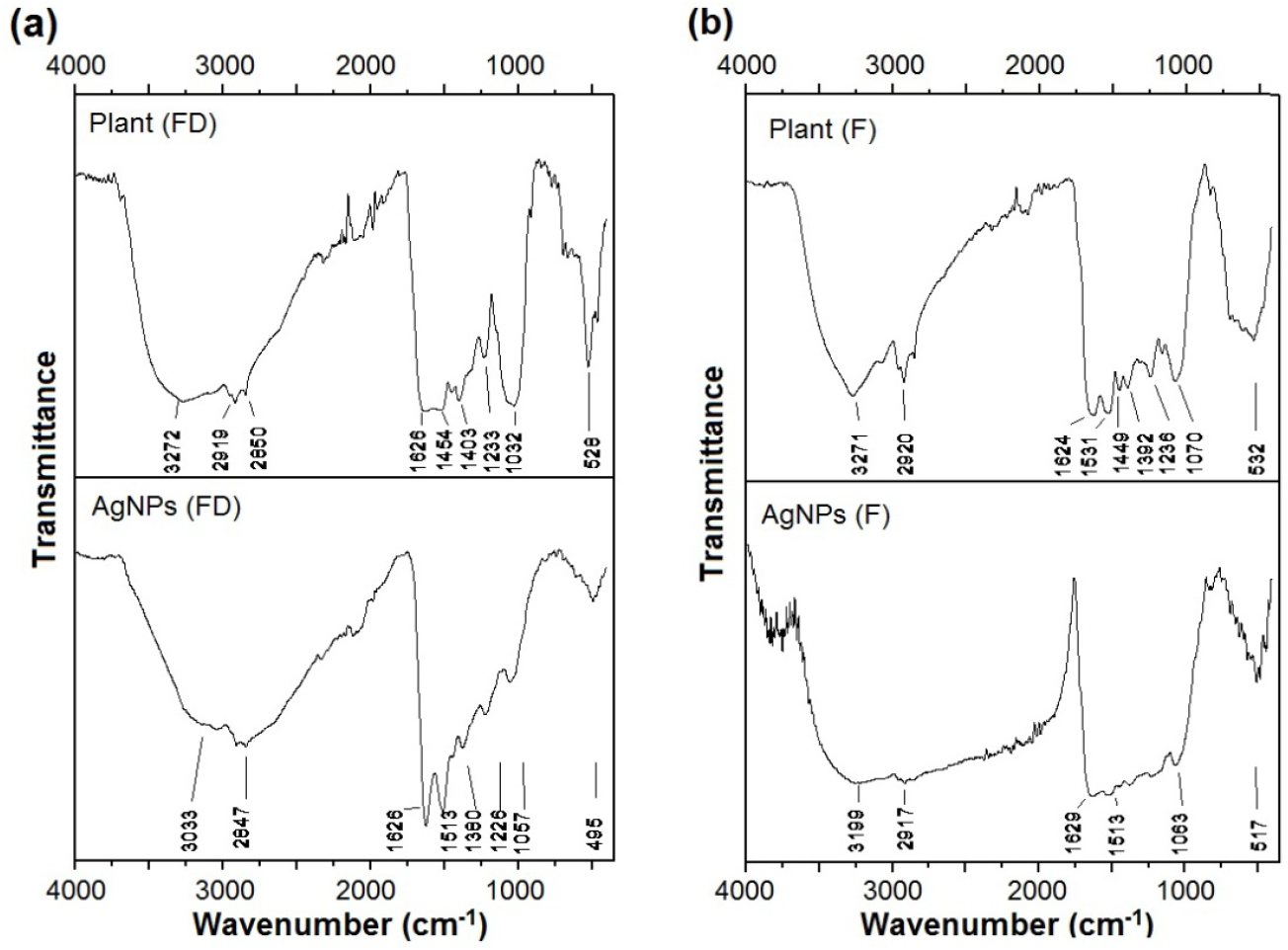 Green synthesis of silver nanoparticles from Moringa oleifera leaf ...