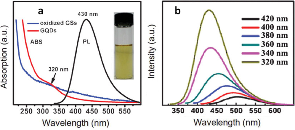 Novel fluorescent carbonic nanomaterials for sensing and imaging ...