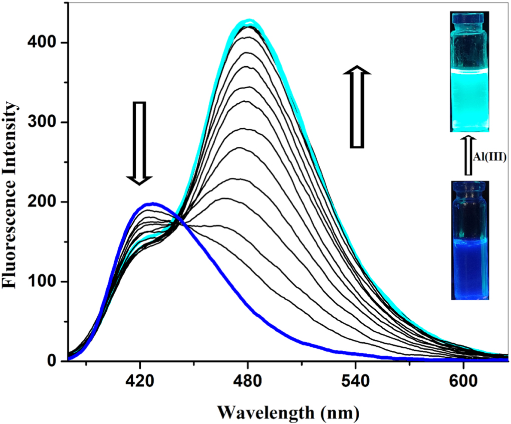 A highly selective and sensitive ratiometric fluorescent probe for ...