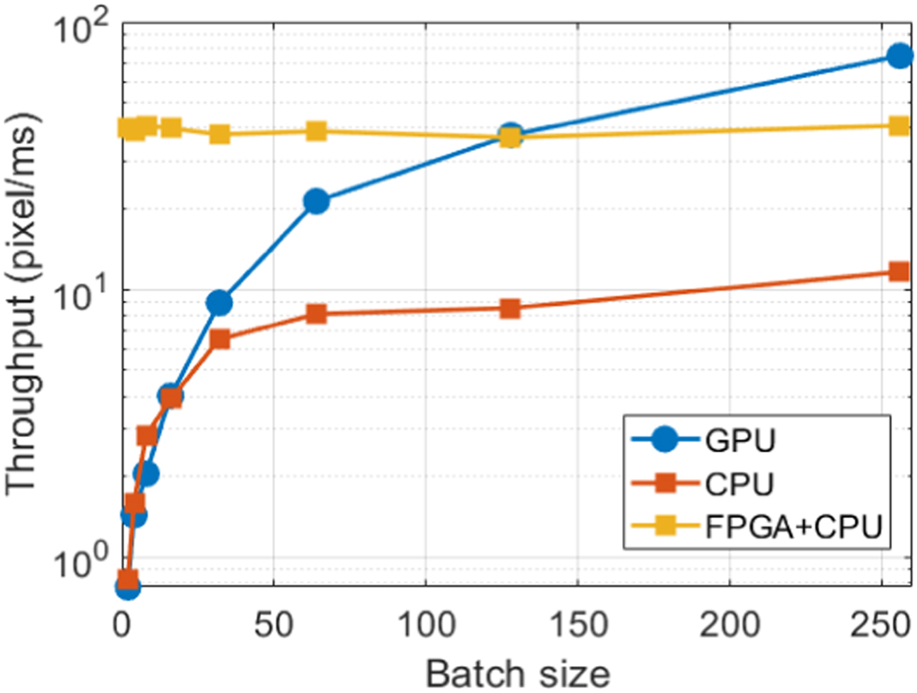 Compact and robust deep learning architecture for fluorescence lifetime ...