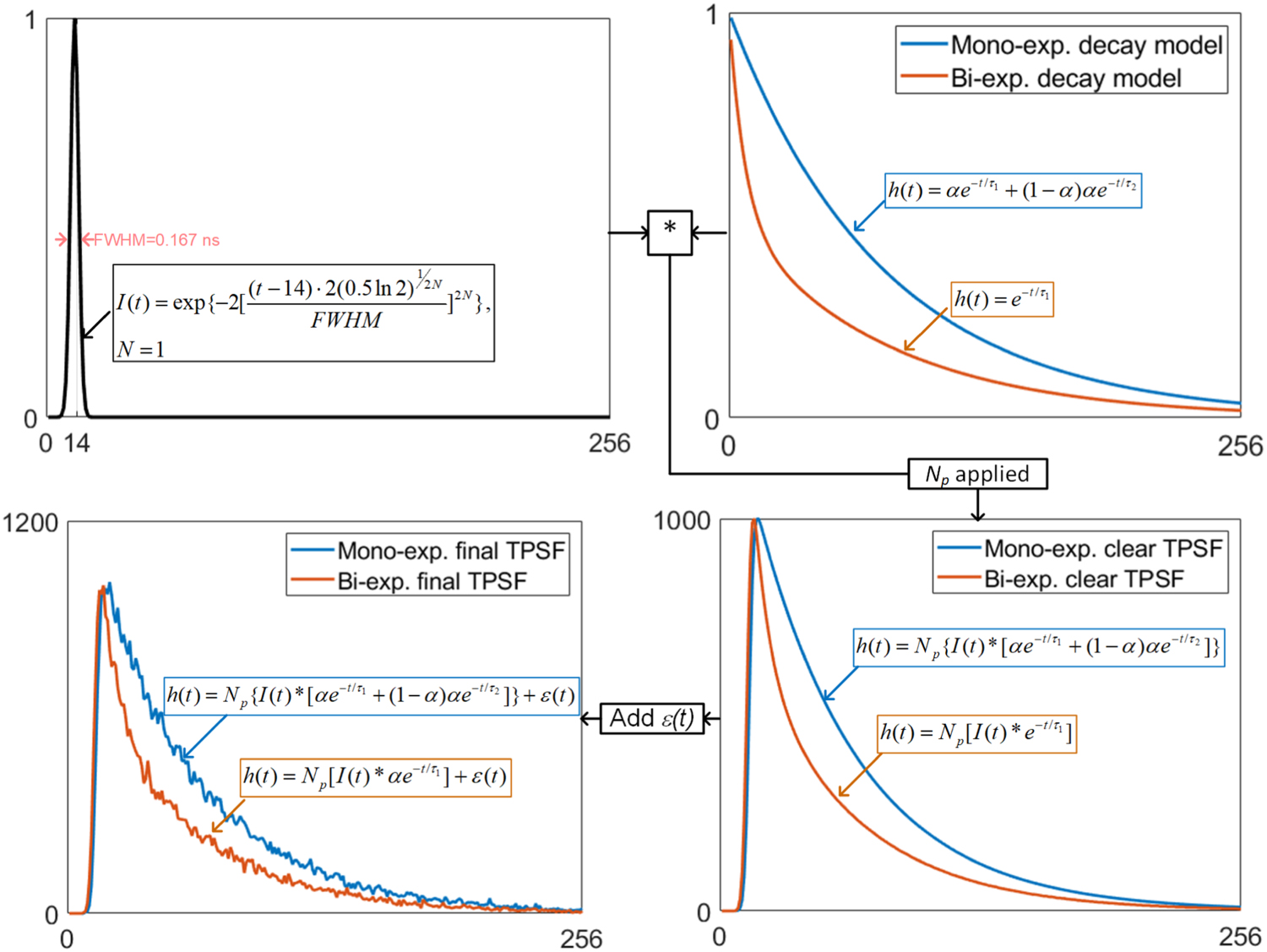 Compact and robust deep learning architecture for fluorescence lifetime ...