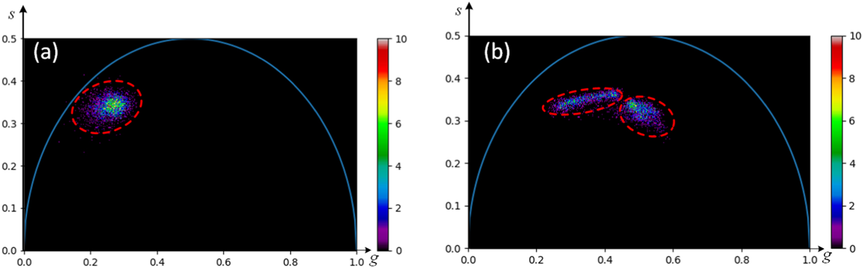 Compact and robust deep learning architecture for fluorescence lifetime ...