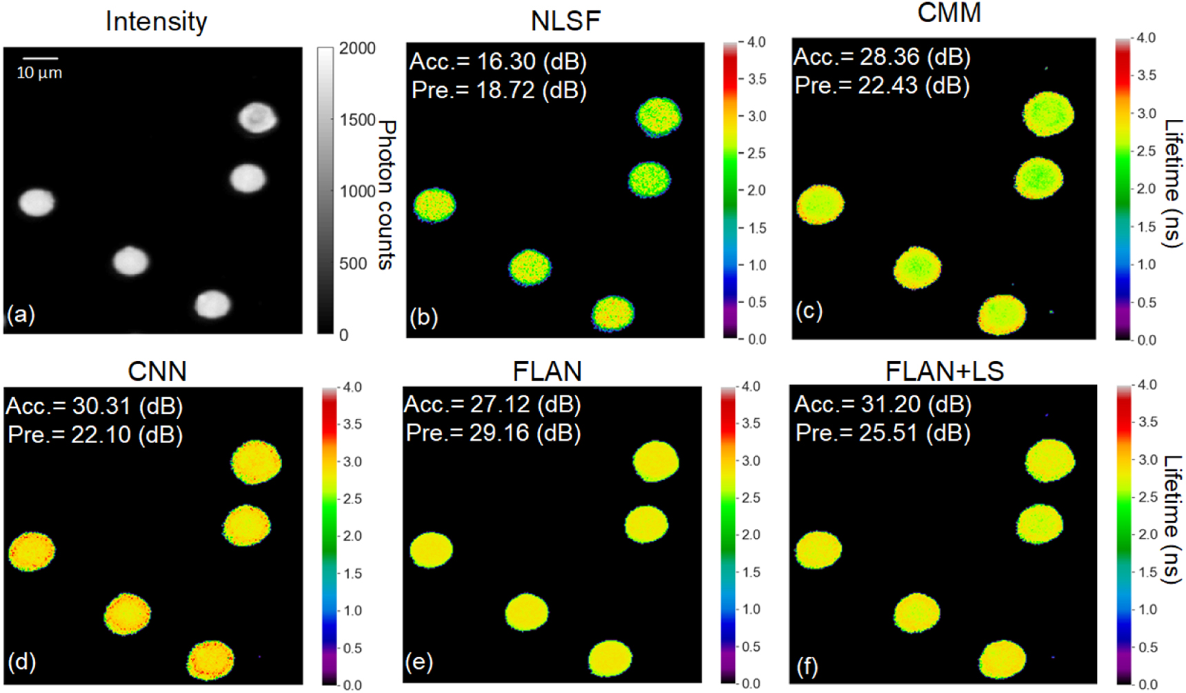Compact and robust deep learning architecture for fluorescence lifetime ...
