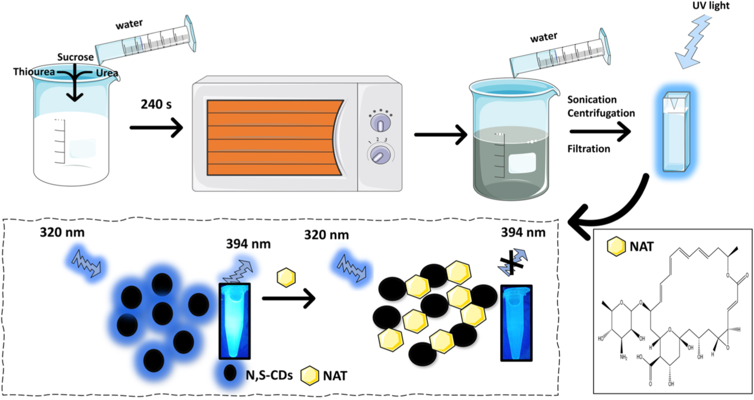 Rapid microwave synthesis of N and S dual-doped carbon quantum dots for ...