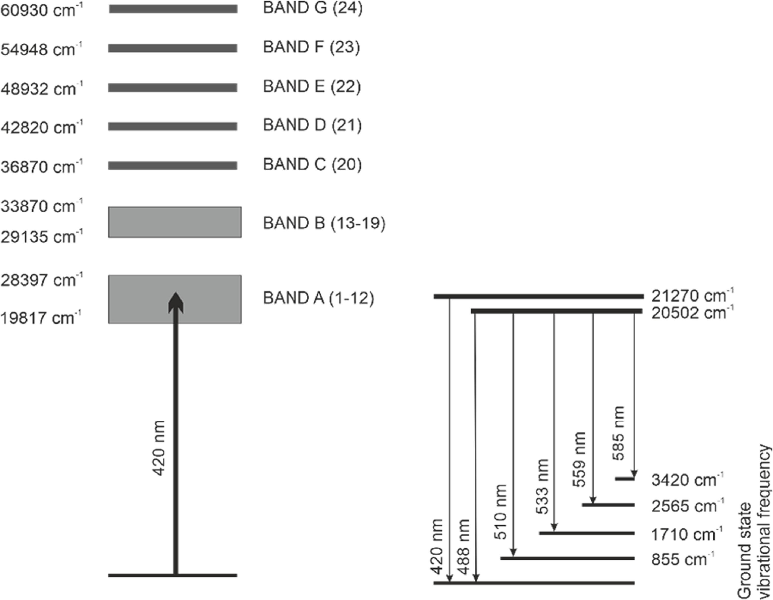 Figure 1. Refer to the following caption and surrounding text.