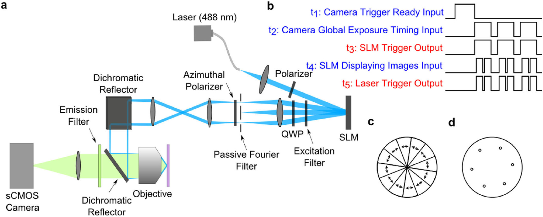 fastSIM: a practical implementation of fast structured illumination ...