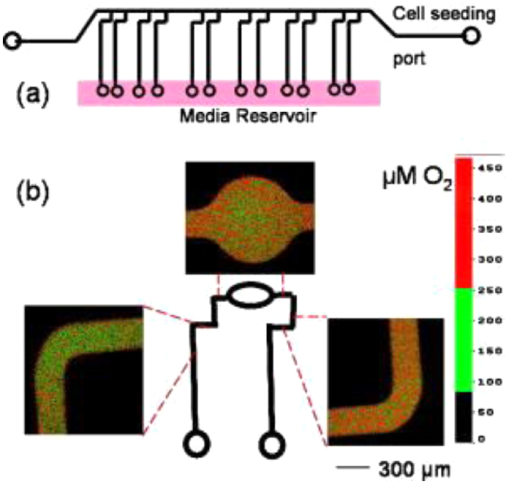 Imaging of oxygen in microreactors and microfluidic systems - IOPscience