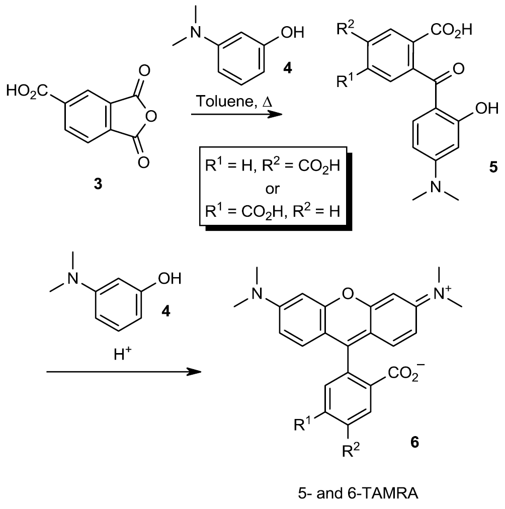 A general synthetic route to isomerically pure functionalized rhodamine ...