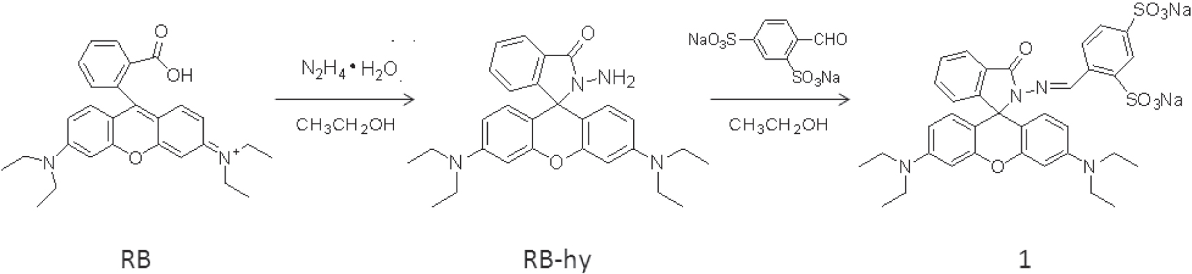 A water-soluble rhodamine B-derived fluorescent probe for pH monitoring ...