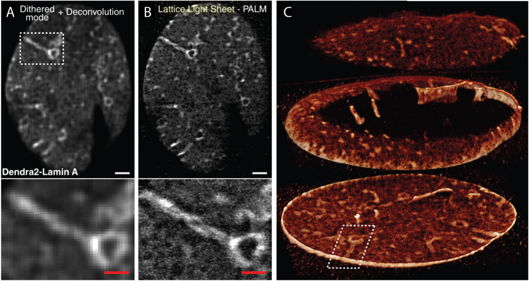 Optical Micrograph Resolution An introduction to optical super-resolution microscopy for the ...