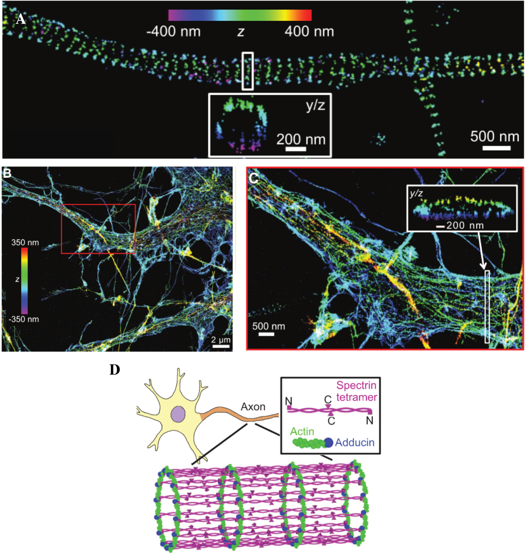 An introduction to optical super-resolution microscopy for the ...