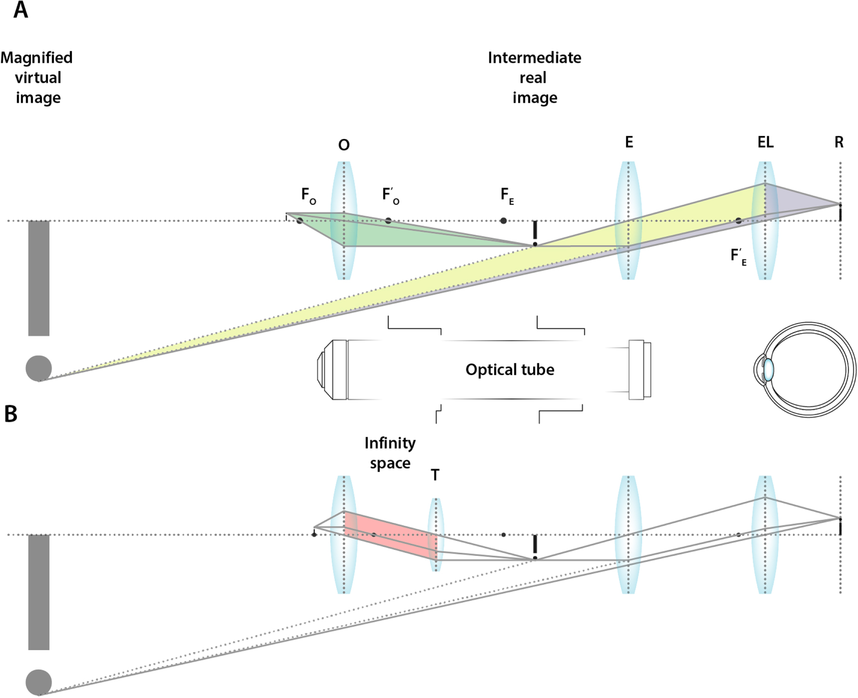 An introduction to optical super-resolution microscopy for the ...