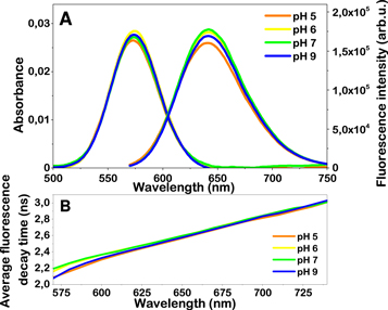 The effect of pH and ionic strength on the fluorescence properties of a ...