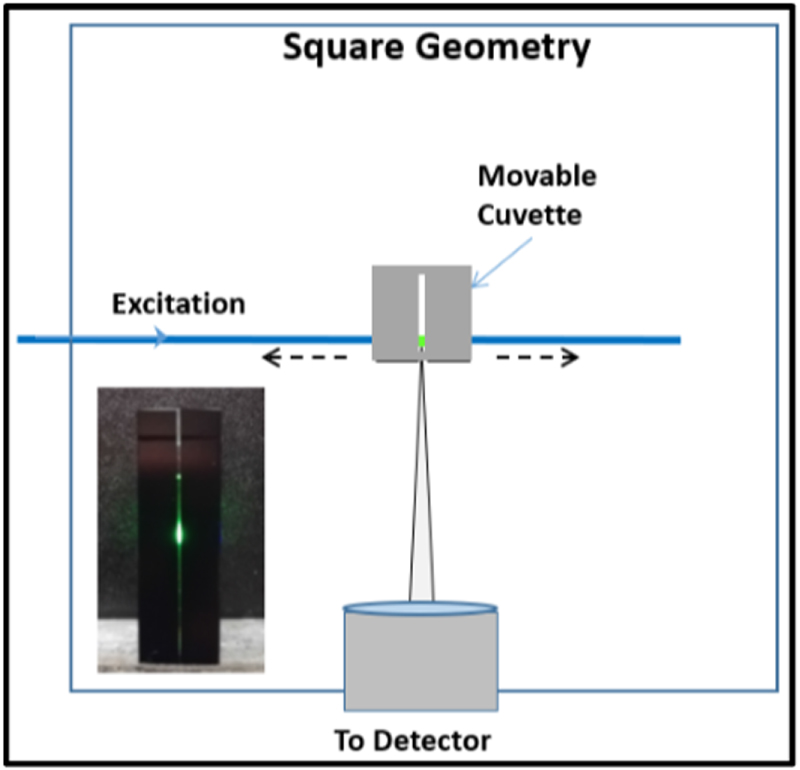 On the origin and correction for inner filter effects in fluorescence ...