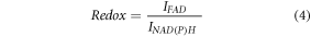 Equation (4)