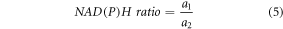 Equation (5)