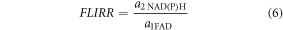 Equation (6)