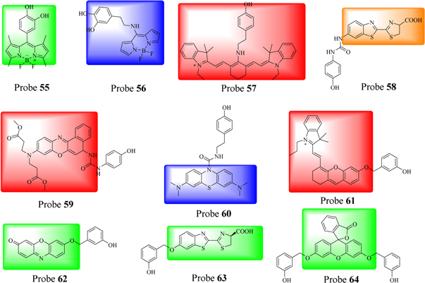Prodan Review on the recent progress in the development of fluorescent probes ...