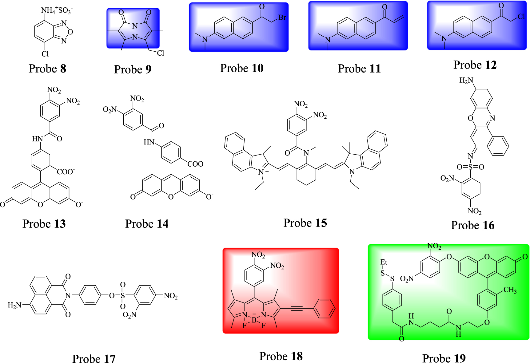 Prodan Review on the recent progress in the development of fluorescent probes ...