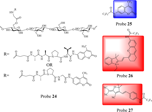 Prodan Review on the recent progress in the development of fluorescent probes ...
