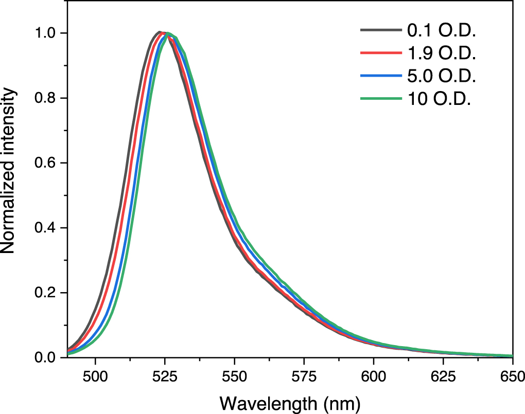 On the origin and correction for inner filter effects in fluorescence ...