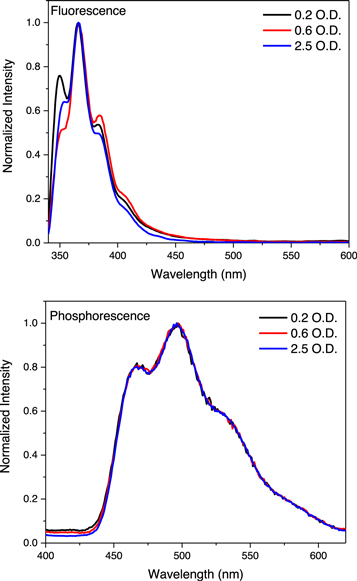 On the origin and correction for inner filter effects in fluorescence ...