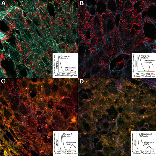 Opp Staining Using FDA-approved drugs as off-label fluorescent dyes for optical ...