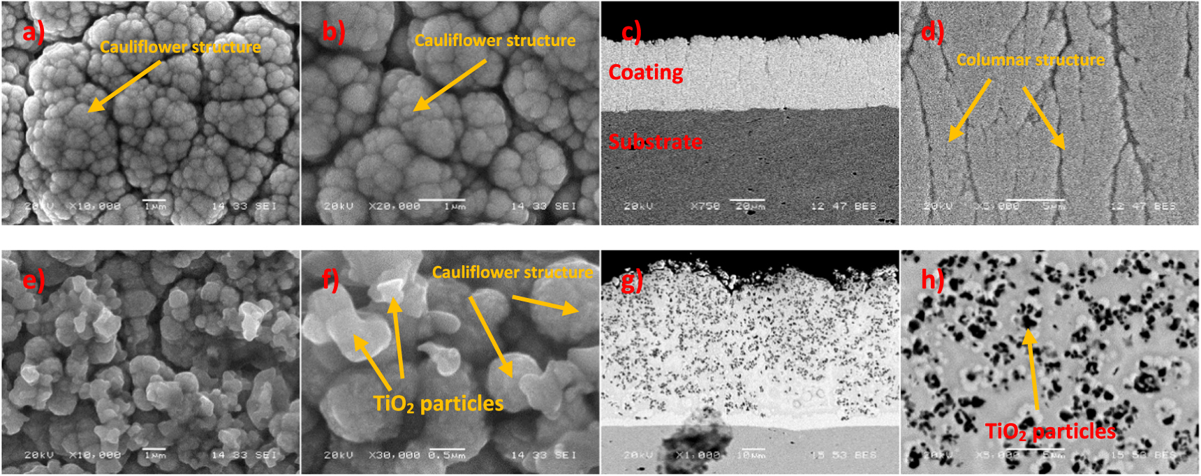 Journal Tio2 Coating The effect of TiO2 concentration on morphology, wear and corrosion ...