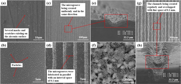 Effects of surface topography through laser texturing on the surface ...
