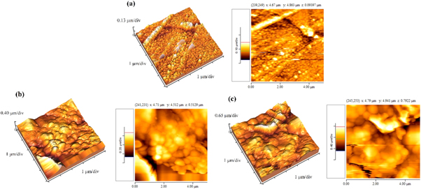 Effects of surface topography through laser texturing on the surface ...