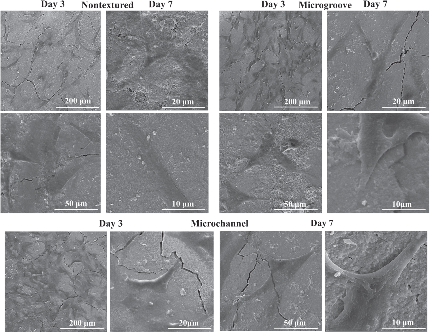 Effects of surface topography through laser texturing on the surface ...