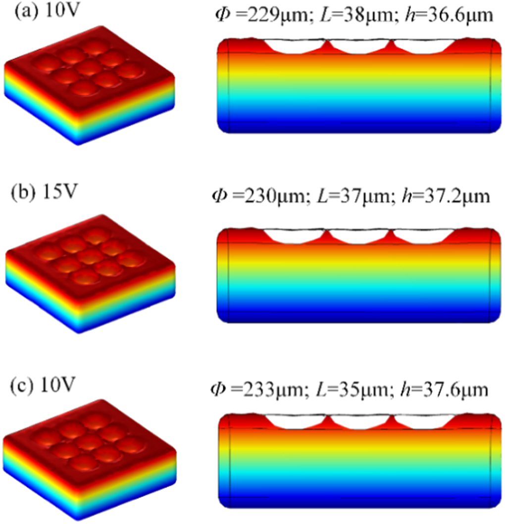 Investigation of micro pit array on titanium alloy with hydrophobic ...