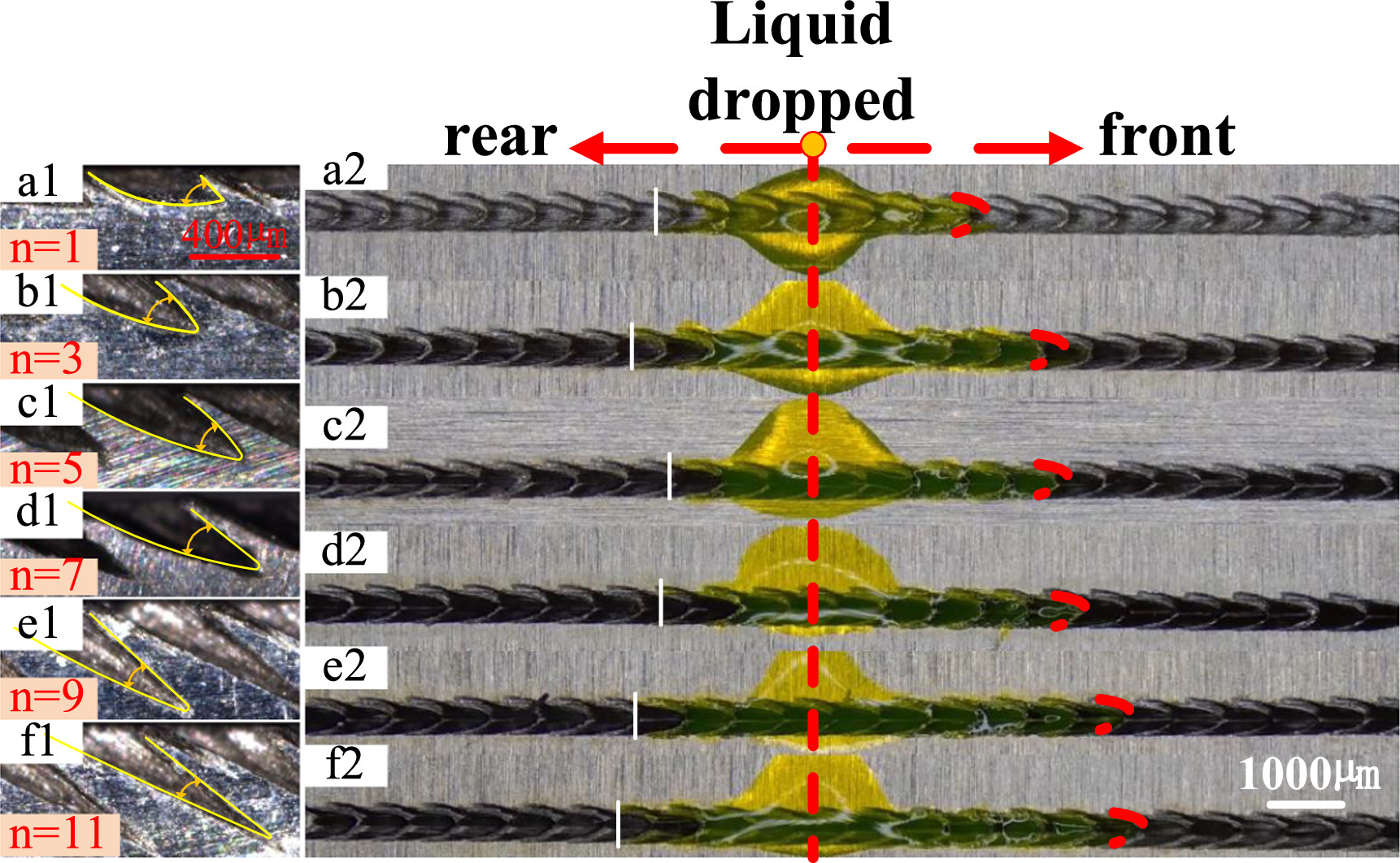 One-step laser preparation of unidirectional liquid spontaneous