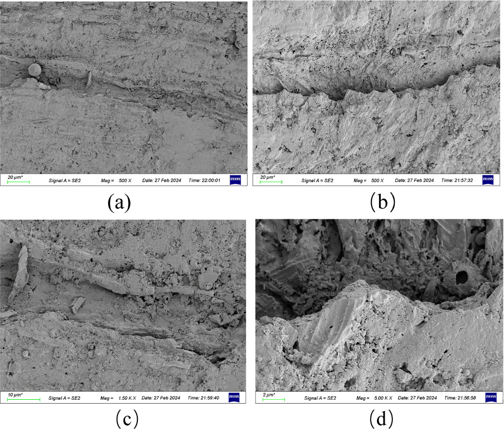 Effect of bionic texture on the lubrication efficiency and mechanical ...