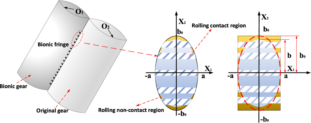 Effect of bionic texture on the lubrication efficiency and mechanical ...