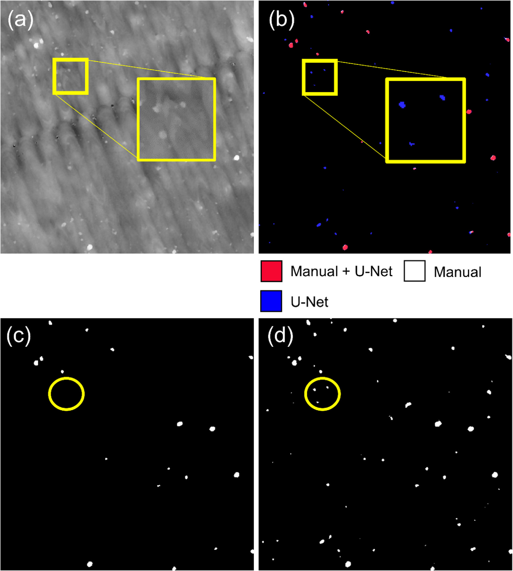 Segmenting spatter particles on additively manufactured surfaces using ...