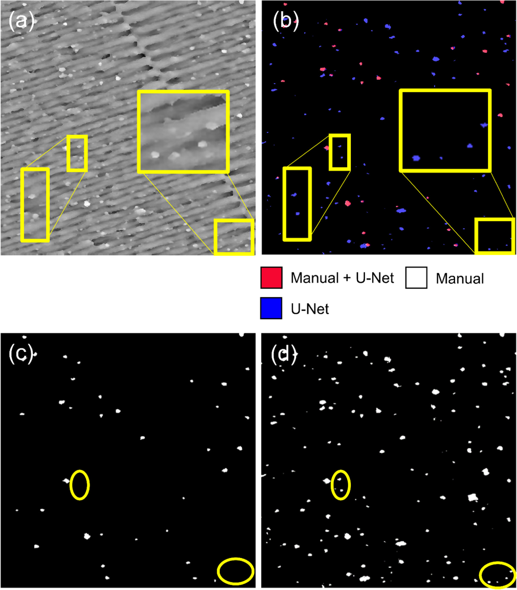 Segmenting spatter particles on additively manufactured surfaces using ...