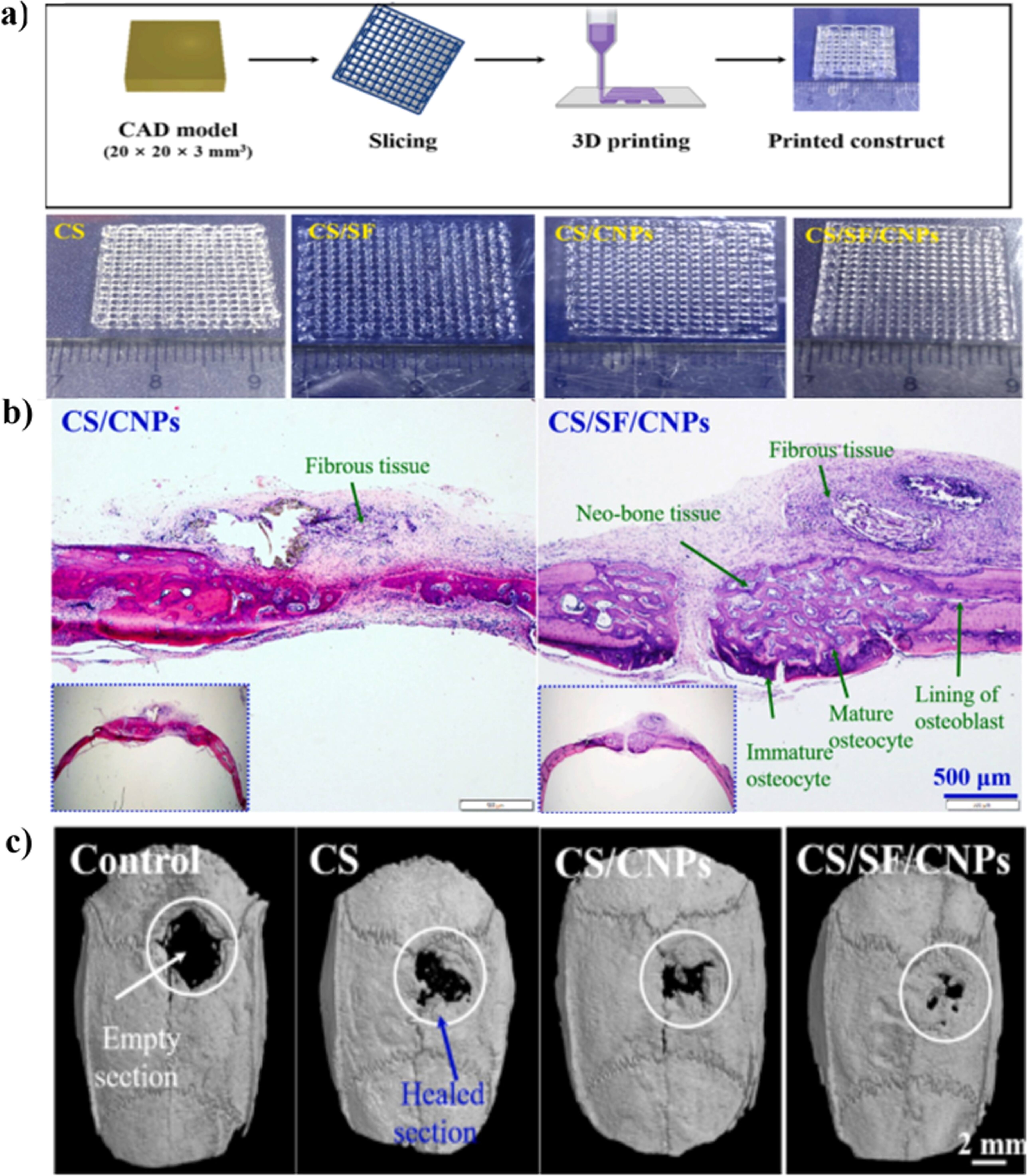 Additive manufacturing in biomaterials: a comprehensive and integrated ...