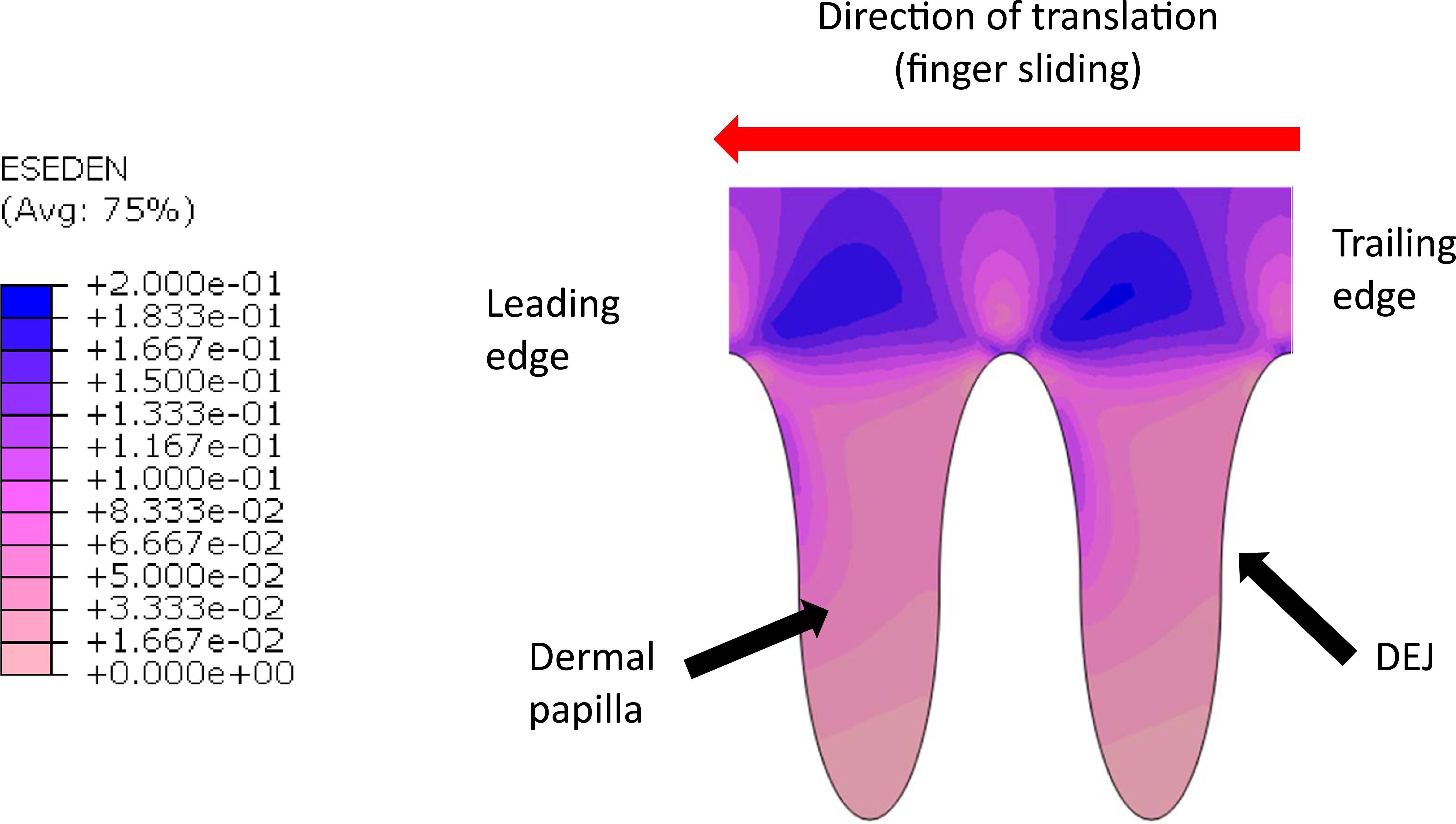 Surface textures modulate tactile perception - IOPscience