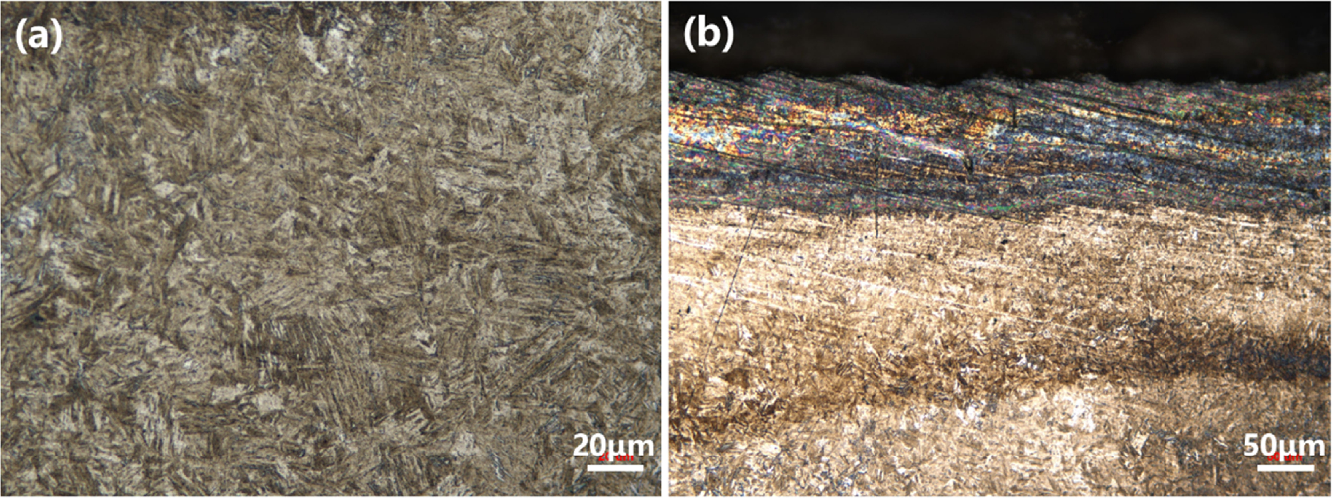 Study on corrosion failure mechanism of bearing outer ring and wear ...