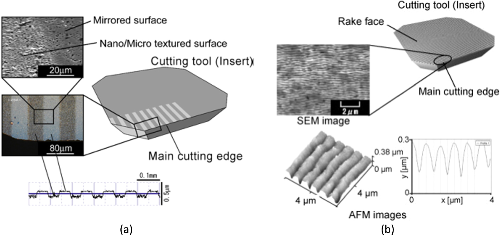 Tribological performance of surface texturing in mechanical ...