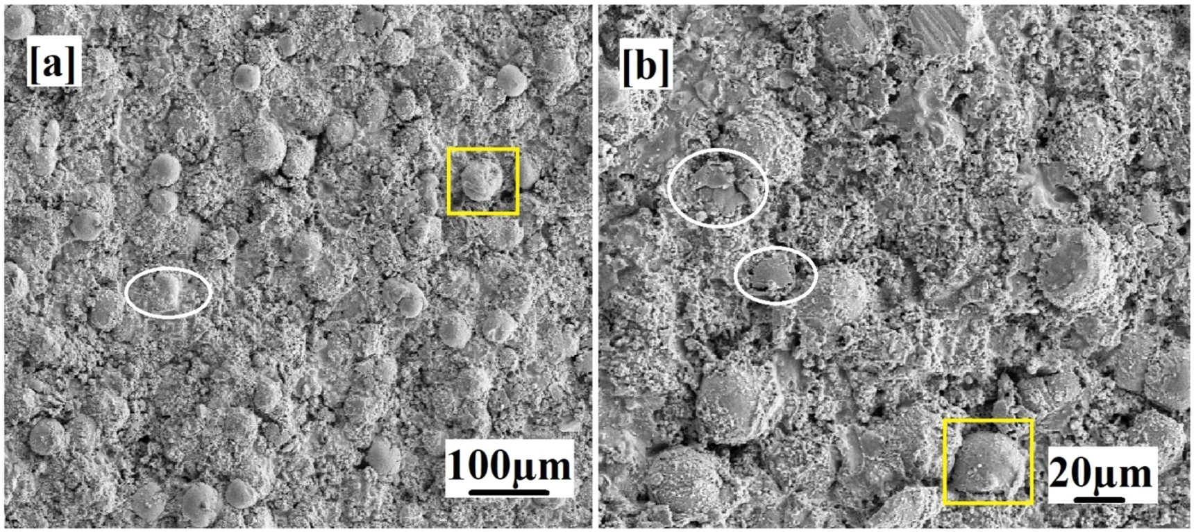 Influence of heat treatment on surface properties of HVOF deposited WC ...