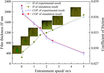 Fractal variation of three-dimensional surface topography