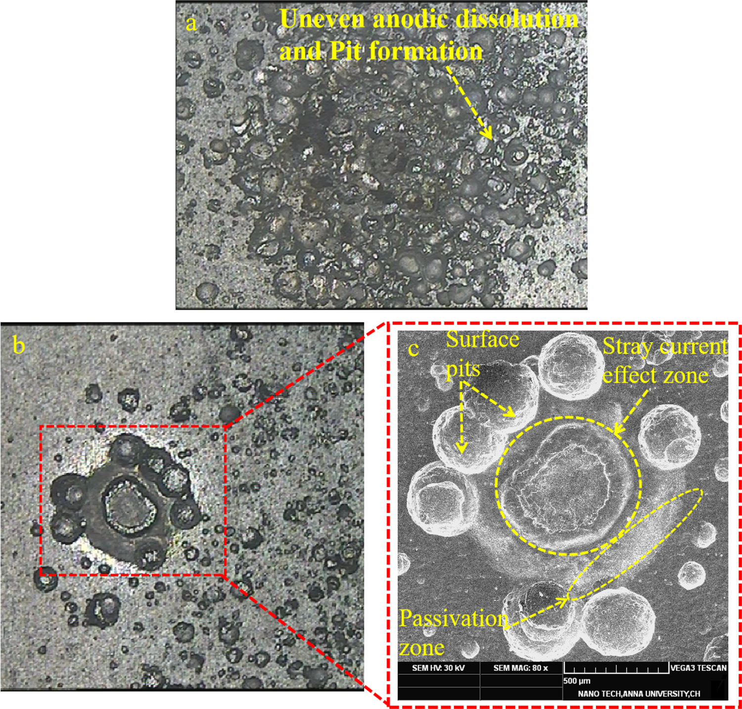 Evaluation of surface integrity in electrochemical micromachining of ...